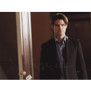 Daniel Gillies 6 - Vampire Diaries - Originalautogramm...