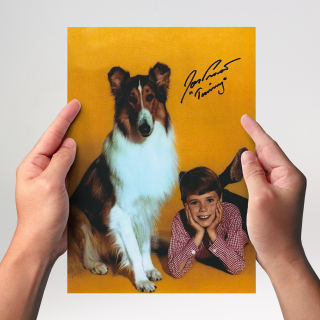 Jon Provost 2 - Lassie - Originalautogramm mit Echtheitszertifikat