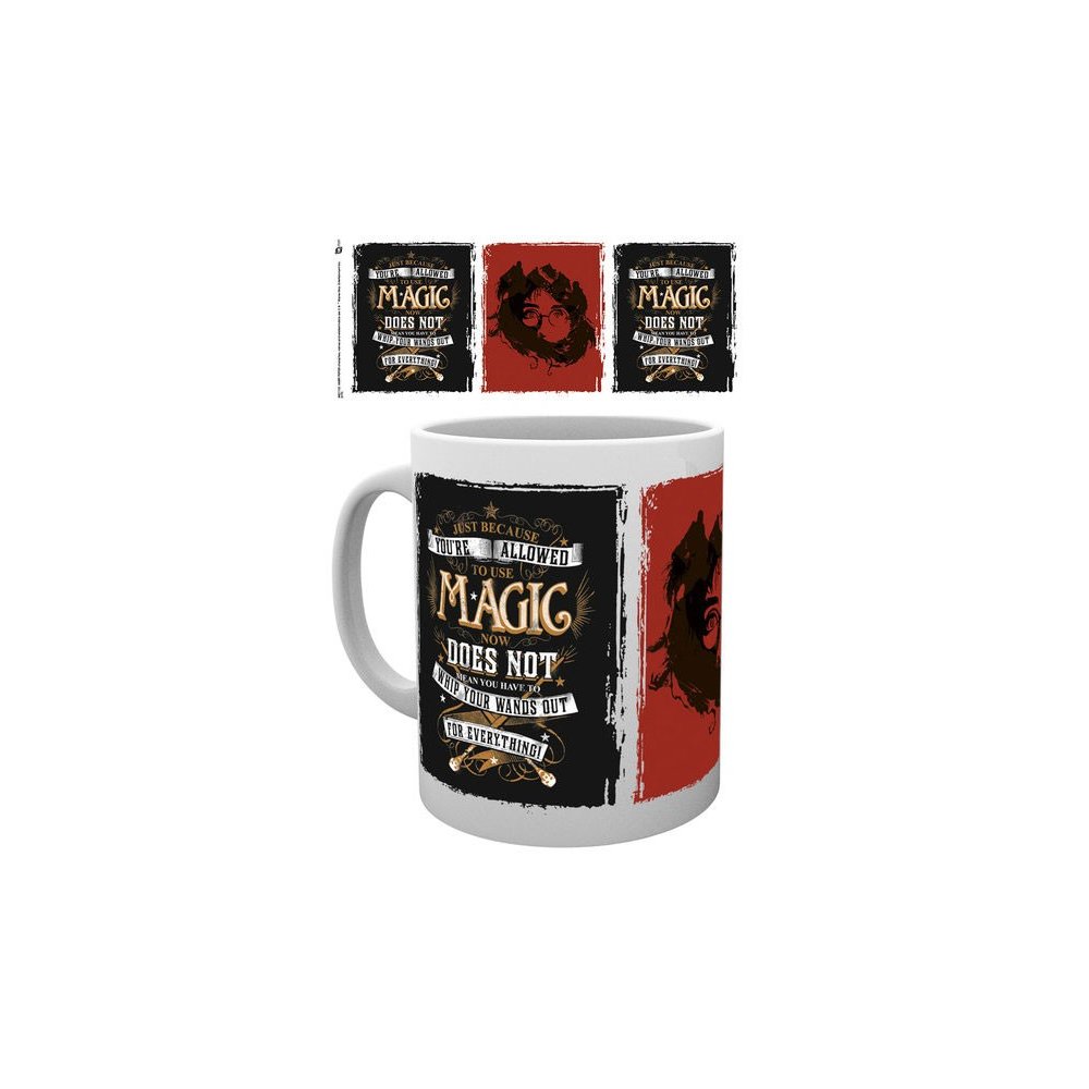 Harry Potter Tasse Whip Your Wand Out