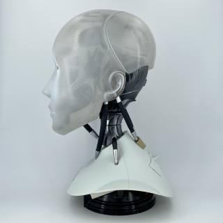 i, Robot Collectable Head