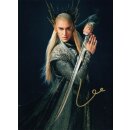 FedCon Autogramm GmbH Lee Pace 2 - aus Hobbit LotR mit...